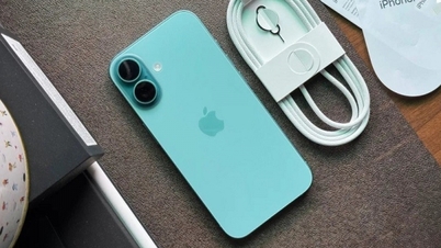 Những vấn đề trên iPhone 16 mà người dùng đang gặp phải