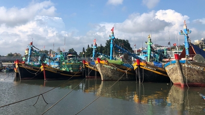 Xuất khẩu thuỷ sản năm 2023 dự báo đạt 8,6 tỷ USD