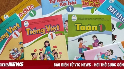 Làm sao để không loạn giá?