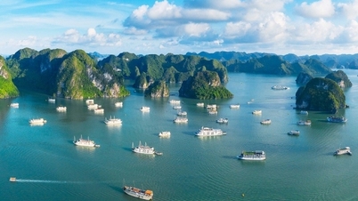 Tripadvisor xếp Vịnh Hạ Long đứng thứ 2 trong 25 điểm đến thiên nhiên hàng đầu thế giới năm 2024