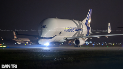 Siêu máy bay vận tải Airbus Beluga XL “cá voi trắng” lần đầu đến Việt Nam