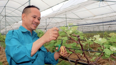 Billionaire farmer who finished 12th grade seized vacant land and gave birth to billions
