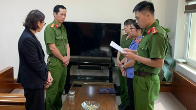 ការ​ចាប់​ខ្លួន​នាយក​សាខា​នៃ​ក្រុមហ៊ុន​ធានា​រ៉ាប់​រង Bao Viet