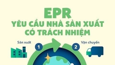Điều chuyển đầu mối quản lý, tổ chức thực hiện quy định EPR