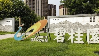 One after another, "giants" in the industry go bankrupt, standing on the brink of bankruptcy, the Chinese real estate market is covered in gloom.