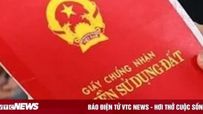 Sổ đỏ không có sơ đồ thửa đất có ảnh hưởng đến quyền sử dụng?