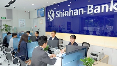 Shinhan Bank lãi hơn 2.500 tỷ đồng trong 6 tháng đầu năm 2024