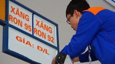 The Government proposes to reduce 50% of environmental protection tax on gasoline until the end of 2024.