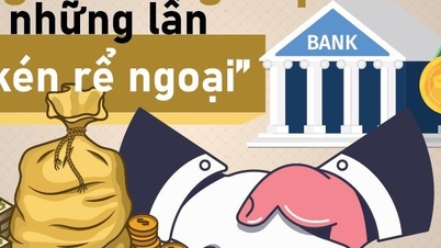 [Info] Vietnamese banks and the times of "choosing foreign sons-in-law"