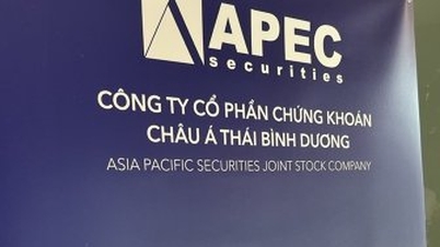 Les actions de l'Apec chutent, des millions d'unités restent à vendre