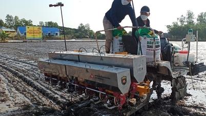 Cluster seeder ដែលជា "ជំនួយ" ដ៏មានឥទ្ធិពលសម្រាប់កសិករ សម្រេចបាននូវគោលដៅនៃគម្រោងស្រូវគុណភាពខ្ពស់ 1 លានហិកតា