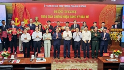 ទីក្រុង Hai Phong ផ្តល់វិញ្ញាបនបត្រវិនិយោគដល់គម្រោងចំនួន 12 ដើមទុនសរុបចំនួន 1.8 ពាន់លានដុល្លារ