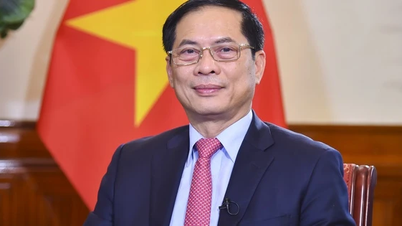 ផ្តោតលើចំណុចស្នូលការទូតចំនួន៣ លើកកំពស់អត្តសញ្ញាណ “ការទូតឬស្សីរបស់វៀតណាម”
