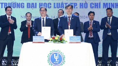 University supports province to develop into a centrally-governed city