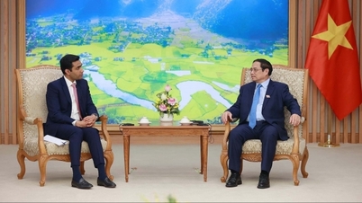 Prime Minister Pham Minh Chinh receives General Director of Adani Ports and Special Economic Zone Company, India