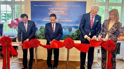 Văn hóa, nghệ thuật là sợi dây kết nối đưa Việt Nam và Đan Mạch đến gần nhau hơn