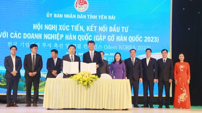 Mở ra cơ hội hợp tác giữa Yên Bái và các doanh nghiệp Hàn Quốc