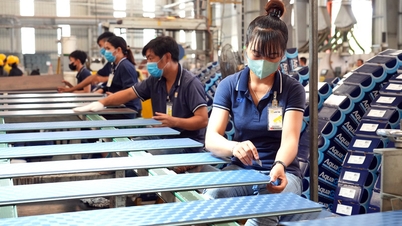 Năm 2024: Xuất khẩu sẽ khởi sắc hơn