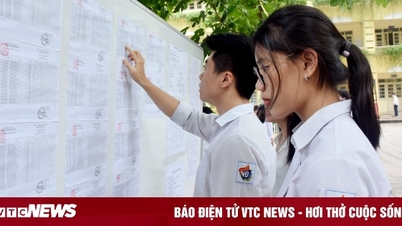Thí sinh bất ngờ tra cứu được điểm thi tốt nghiệp 2023, Bộ GD&ĐT nói gì?