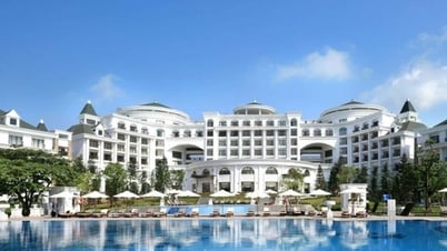 Cặp đôi tỉ phú Ấn Độ chọn Hạ Long để tổ chức đám cưới