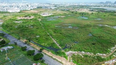 Cận cảnh khu đất dự kiến đấu giá vào quý 2/2025 để xây dựng tổ hợp hơn 3.500 tỷ đồng tại Đà Nẵng