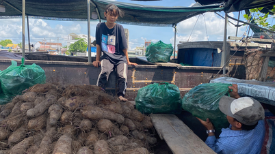 តើ​ផ្សារ​បណ្តែត​ទឹក​នឹង​លិច​ទៅ​មុខ​ឬ​ទេ?៖ ជីវិត​នៅ​មាត់​ទន្លេ
