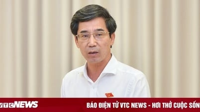 El Primer Ministro aprueba los resultados electorales del vicepresidente del Comité Popular de la ciudad de Da Nang, Tran Chi Cuong