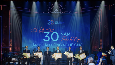 CMC Technology Group មានអាយុ 30 ឆ្នាំ។