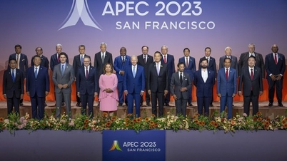 APEC ជឿជាក់លើតួនាទី និងជំហររបស់វៀតណាមក្នុងឆាកអន្តរជាតិ