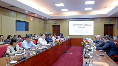 Thứ trưởng Trần Quốc Phương làm việc với Đoàn chuyên gia IMF