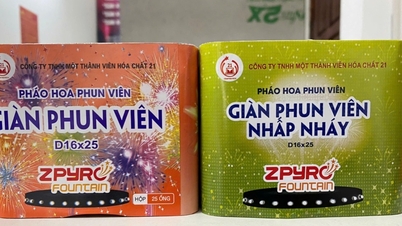 Fireworks Z121 price hiked, chaotic price on online market