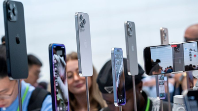 Tim Cook nói về chiến lược AI của Apple: ‘Không trước, nhưng nhất’