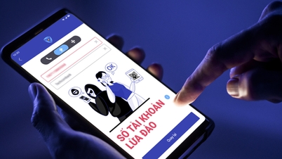 Người Việt có thể dùng ứng dụng phòng chống lừa đảo nTrust