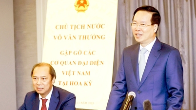 Hiện thực hóa các cam kết, thỏa thuận hợp tác Việt Nam - Hoa Kỳ