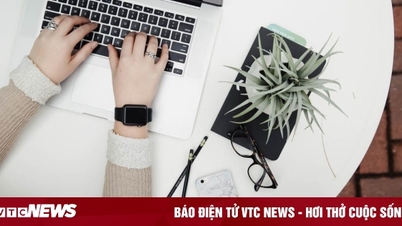 Cái tôi cá nhân trong công việc – nên giữ hay nên bỏ?