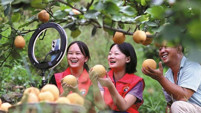 កសិករ​ចិន​រក​លុយ​បាន​ដោយ​ការ​ផ្សាយ​ផ្ទាល់​លក់​កសិផល