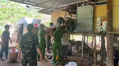 Vết nứt gãy xuất hiện trên đỉnh đồi, lên phương án di dời cả bản hơn 100 hộ dân