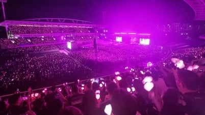 BLACKPINK đội nón lá, nói tiếng Việt, nhảy điệu "See tình" của Hoàng Thuỳ Linh