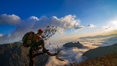 Gợi ý chuyến du xuân ngắn ngày ở miền Bắc dịp Tết