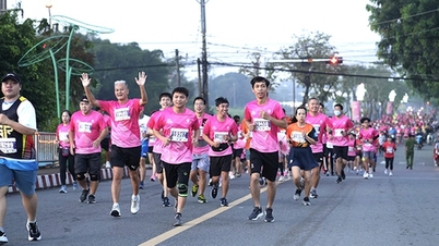 មនុស្សជិត 6,000 នាក់បានចូលរួមការរត់ម៉ារ៉ាតុង Dong Thap Pink Lotus Marathon ឆ្នាំ 2023