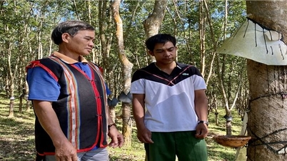 Dak To (Kon Tum)៖ ពង្រឹងការងារឃោសនា លើកកម្ពស់ការយល់ដឹងអំពីជនជាតិភាគតិច ក្នុងការងារកាត់បន្ថយភាពក្រីក្រ