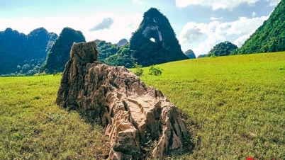 Cao Bằng thơ mộng như cổ tích vào mùa đẹp nhất trong năm