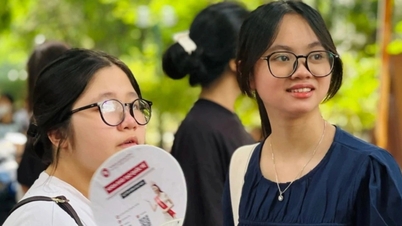 Những ngành học có điểm chuẩn "hạ gục" cả học sinh giỏi, rớt hàng loạt