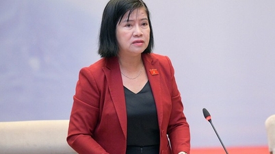 Approval of the resignation of Vice Chairman of the National Assembly's Committee on Science, Technology and Environment