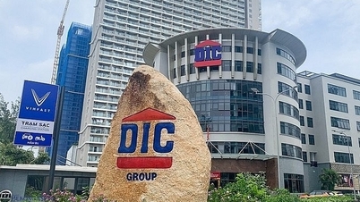Công ty con của DIC Corp (DIG) khai sai thuế bị truy thu 524 triệu