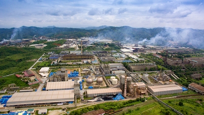 Rückforderung von fast 200.000 m2 Land von der Viet Trung Minerals and Metallurgy Company Limited aufgrund eines Verstoßes gegen das Landgesetz