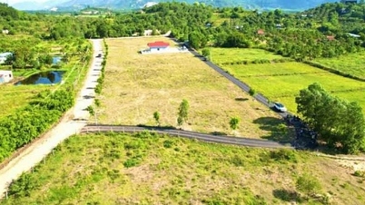 Khánh Hòa chuyển hơn 26ha đất trồng lúa để đầu tư Dự án Cụm công nghiệp Diên Thọ