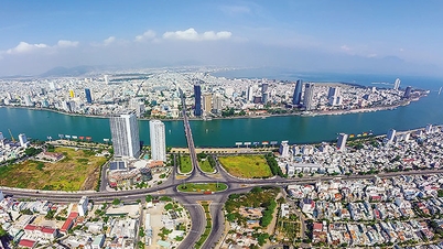 Đà Nẵng đấu giá thành công 3 khu đất lớn xây trường học, bệnh viện