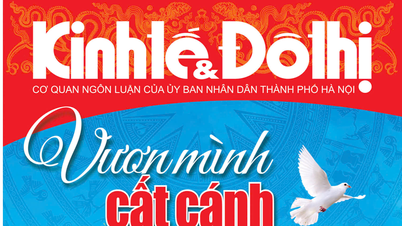 សូមអានកាសែតសេដ្ឋកិច្ច និងទីក្រុង Tet At Ty 2025