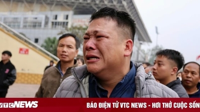 CĐV bật khóc vì không mua được vé xem tuyển Việt Nam vs Singapore